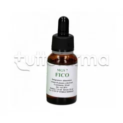 MGS7 Fico Macerato Glicerico SPG 20ml