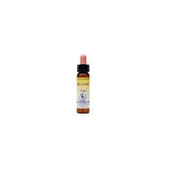 Mustard 21 Essenza Fiori di Bach per Equilibrio Emotivo Flacone 10ml