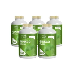 Noebis Ginkgo Biloba 5x500 Compresse da 450 mg