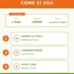 Nux Vomica Homaccord Heel Guna 10 Fiale Medicinale Omeopatico