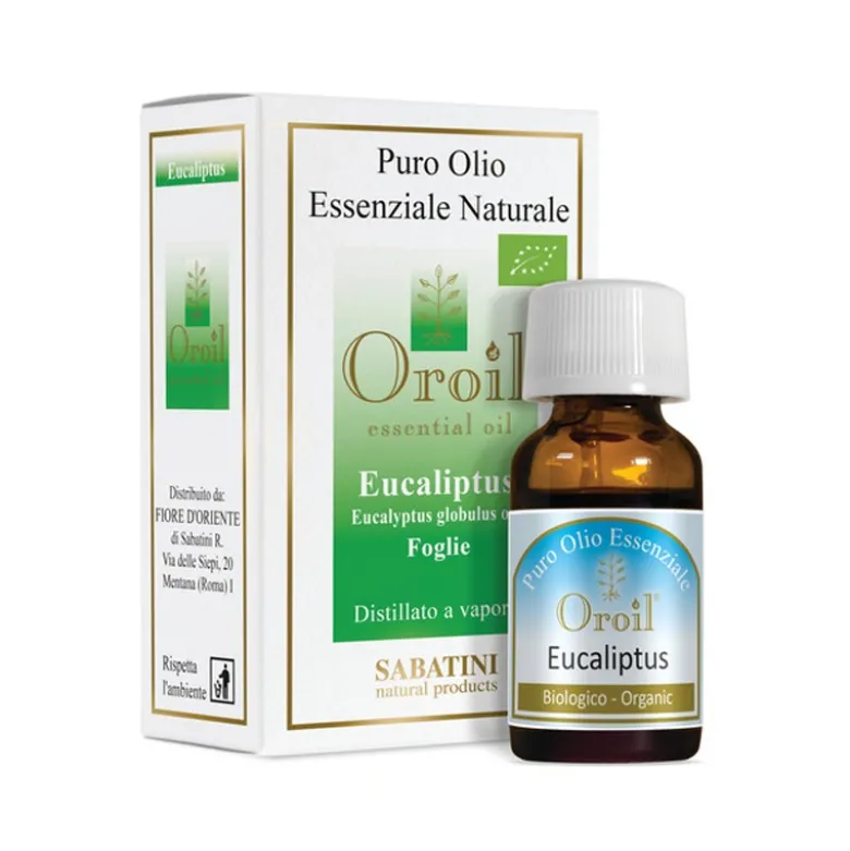 Olio Essenziale di Eucalipto Puro Balsamico 10ml