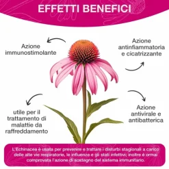 Optima Naturals Echinacea Estratto Integratore Per Le Vie Respiratorie 50ml