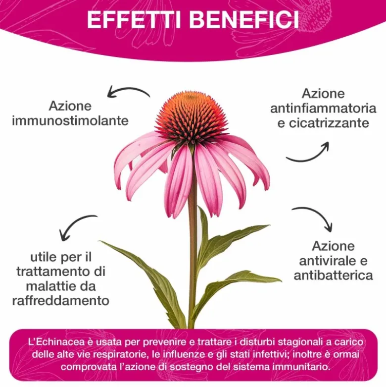 Optima Naturals Echinacea Estratto Forte Gocce Integratore Per Le Vie Respiratorie 50ml