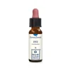 Pine Essenza Floreale di Bach per Benessere Emotivo 10 ml