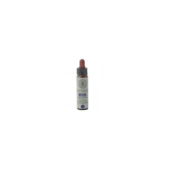 Princeps Fiori di Bach 3 Beech Faggio Gocce 10ml