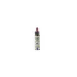 Princeps Fiori di Bach 11 Elm Olmo Gocce 10ml