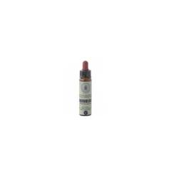 Princeps Fiori di Bach 17 Hornbeam Carpino Gocce 10ml