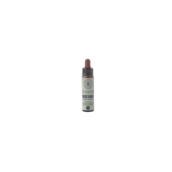 Princeps Fiori di Bach 21 Mustard Senape Gocce 10ml