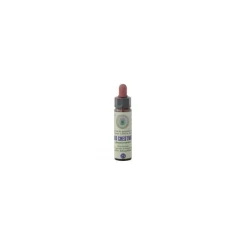 Princeps Fiori di Bach 25 Red Chestnut Floriterapia Gocce 10ml