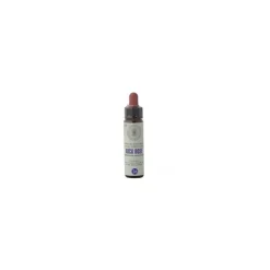 Princeps Fiori di Bach 26 Rock Rose Elia Classico Gocce 10 ml