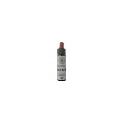 Princeps Fiori di Bach 27 Rock Water Floriterapia Gocce 10ml