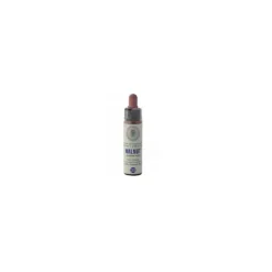 Princeps Fiori di Bach 33 Walnut Floriterapia Gocce 10ml