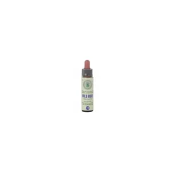 Princeps Fiori di Bach 37 Wild Rose Floriterapia Gocce 10ml