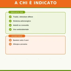 Procainum Compositum Heel Guna 10 Fiale Medicinale Omeopatico 2,2ml