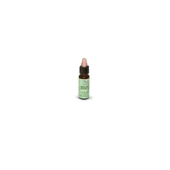 PromoPharma Florit 9 Clematis Vitalba Fiori di Bach 10 ml