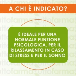 Psicobrain Bromatech Fermenti Lattici e Vitamina C per Stress 30 Capsule