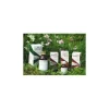 Raemil Alloro Olio per Pelle Lenitiva e Rigenerante 25ml