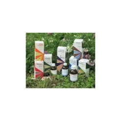Raemil Dig1 Calamo Arom Composto per Digestione 50ml