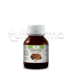 Renaco Chagafungus Integratore per Sistema Immunitario 60 Capsule