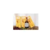 Ribes Gemme 100ml Mg Cento Fiori per Benessere Generale Flacone 100ml