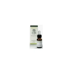 Rosmarino Cineolo per Digestione, Concentrazione e Riduzione Stress 10 ml