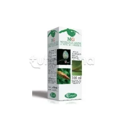 Sangalli Betulla Verrucosa Linfa Macerato Glicerico 100ml