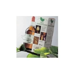 Sangalli Betulla Verrucosa Semi Macerato Glicerico 100ml