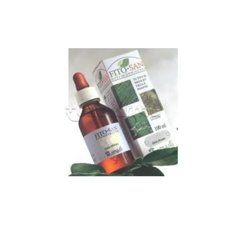 Sangalli Ginkgo Biloba Foglie per Circolazione Tintura Madre 100ml