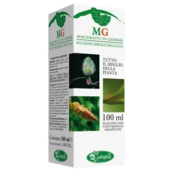 Sangalli Macerato Glicerico Olivo Anti Ipertensivo 100ml