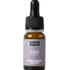 Solime Pine Fiori di Bach Senza Alcool 10 ml