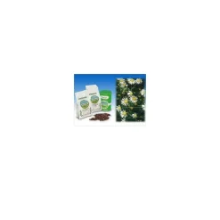 Specchiasol Camomilla Fiori Interi Taglio Tisana 1000 g