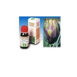Specchiasol Carciofo 9 Tintura Madre 50ml
