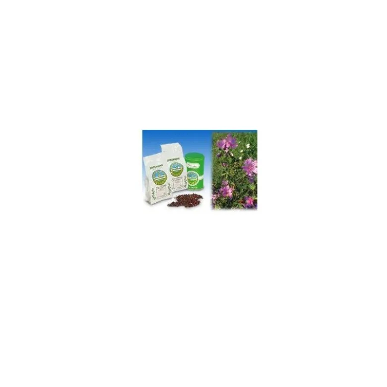 Specchiasol Malva Fiori Interi Blu per Tisane 1000 g