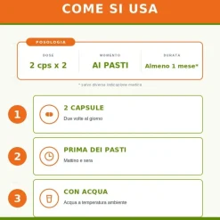 Sygnum Extraven per Microcircolo per Funzionalità Microcircolo 80 Capsule