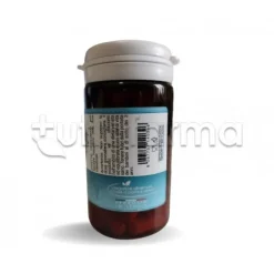 Sygnum Mix 6 + 2 Integratore Fermenti Lattici Benessere Intestino 60 Capsule