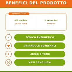 Sygnum Quercia Gemmoderivato per Stanchezza Fisica e Cali di Libido 100ml
