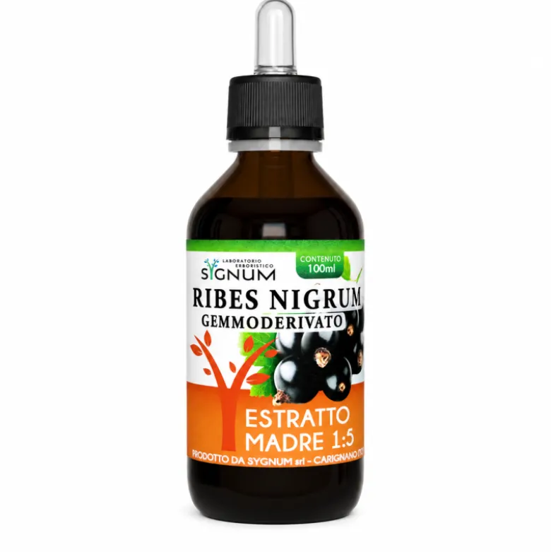 Sygnum Ribes Nigrum Estratto Madre per Allergie e Rinite 100 ml