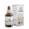 Sys Les Fagus Sylvatica Integratore per Reni per Diuresi e Depurazione 50ml