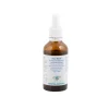 Vegetal Progress Pauper Corbezzolo Tintura Alcolica 26% per Vie Urinarie 50ml