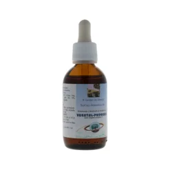 Vegetal Progress Sorbus Domestica Estratto Idroalcolico Integratore Digestivo 50ml