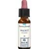 Walnut Essenza Floreale per Cambiamenti 10ml