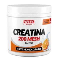 Whysport Creatina 200 Mesh Arancia Polvere 300 g Zero Zuccheri Senza Glutine