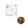 Wilden Remedium N.2 Boost Tisana Antiossidante 10 Bustine