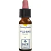 Wild Rose Original per Benessere Emotivo 10ml Gocce