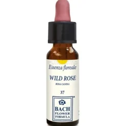 Wild Rose Original per Benessere Emotivo 10ml Gocce