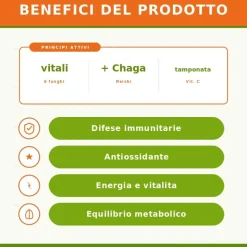 Zreen Natugena Mico Boost Integratore Antiossidante di Funghi Medicinali 60 Capsule