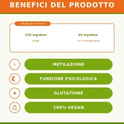 Zreen SAMe e Vitamina C Integratore Funzione Psicologica 30 Capsule