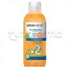 Zuccari Aloe Magnifica Succo Puro 100% Doppia Concentrazione AloeVera2 1000ml